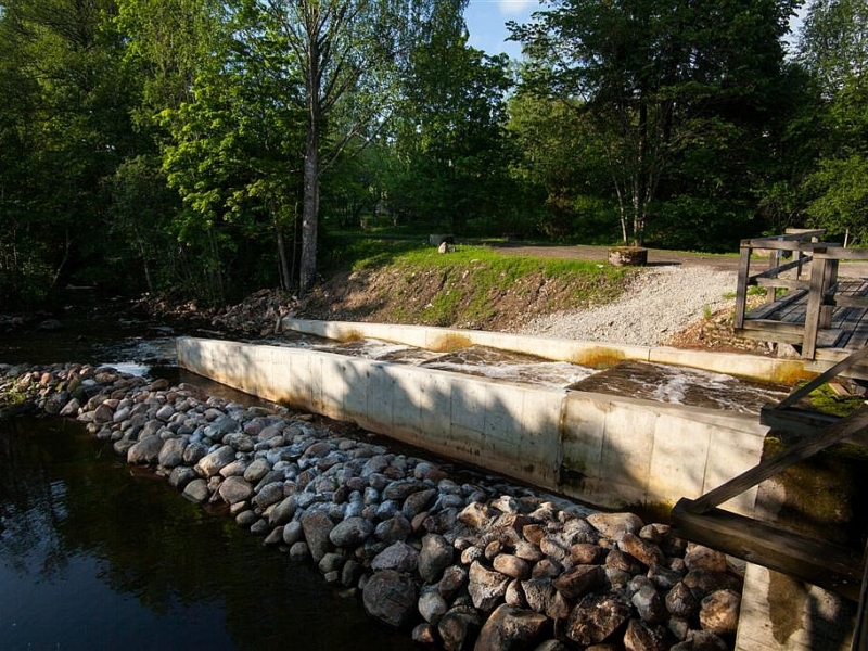 joaveski-kalatrepp-6